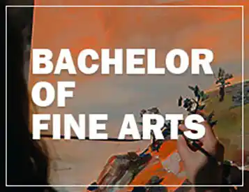 Bachelor of Fine Arts - BFA
