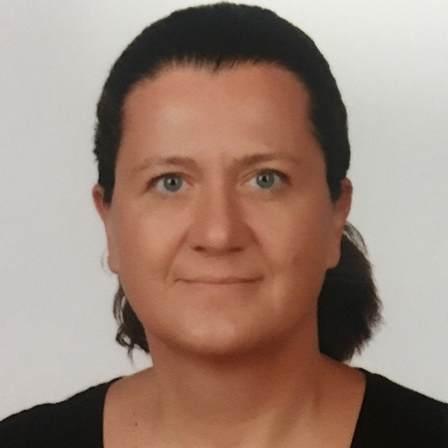 Dr. Ozlem Sandikci Turkdogan