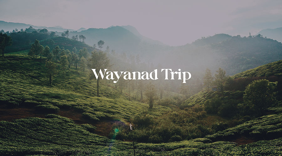 Wayanad Trip 2024
