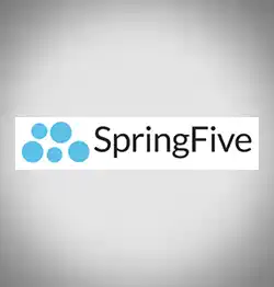 SPRINGFIVE CONSULTING SERVICES LLP