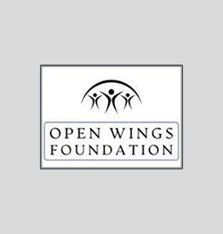 THE OPEN WINGS FOUNDATION 