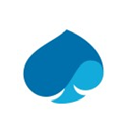 CAPGEMINI