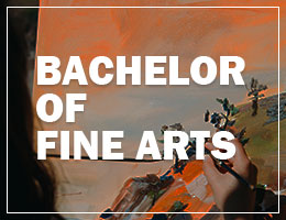 Bachelor of Fine Arts - BFA
