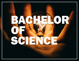 Bachelor of Science - B. Sc.
