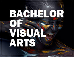 Bachelor of Visual Arts - BVA
