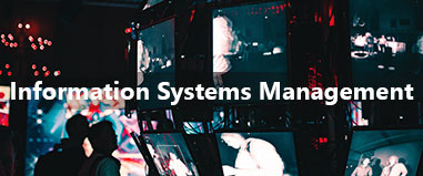 Information Systems Management