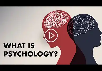 Psychology as a Multidisciplinary