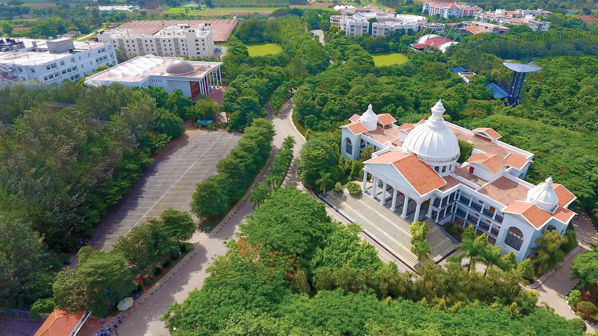 Alliance University