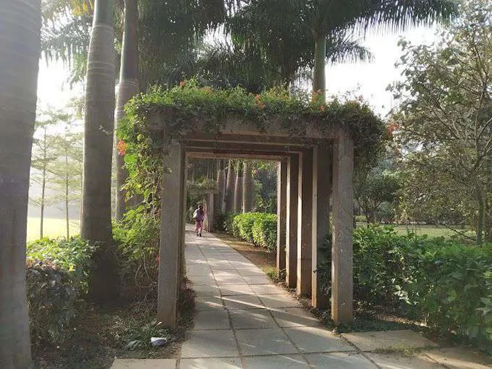 Green & Grey Photography Contest Encourages Creative Perspectives at Alliance University - 3
