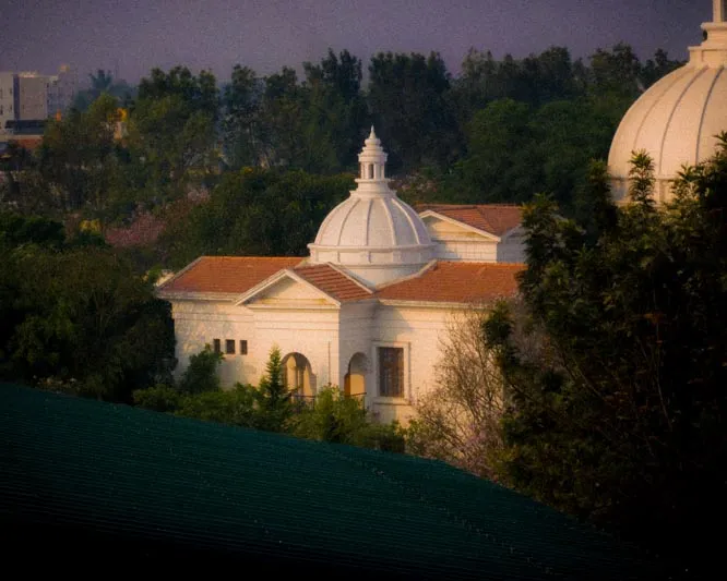 Green & Grey Photography Contest Encourages Creative Perspectives at Alliance University - 4