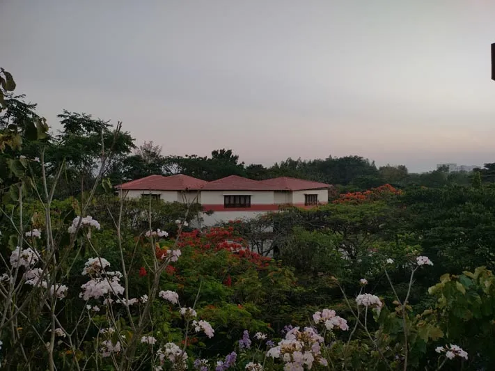 Green & Grey Photography Contest Encourages Creative Perspectives at Alliance University - 7