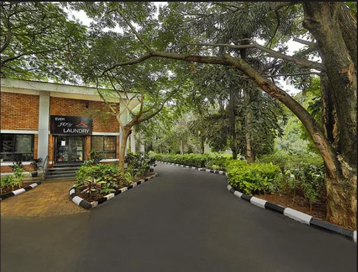 Green & Grey Photography Contest Encourages Creative Perspectives at Alliance University - 8