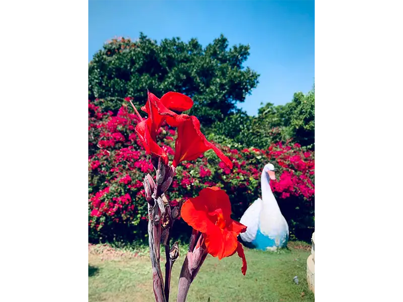 Happiness Club Organises Educational Visit to the Art of Living Centre  - 11