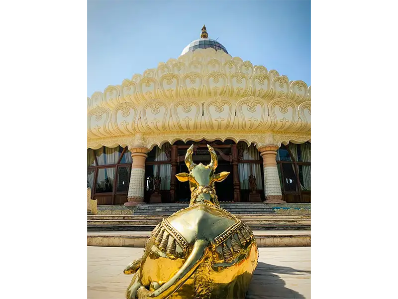 Happiness Club Organises Educational Visit to the Art of Living Centre  - 7