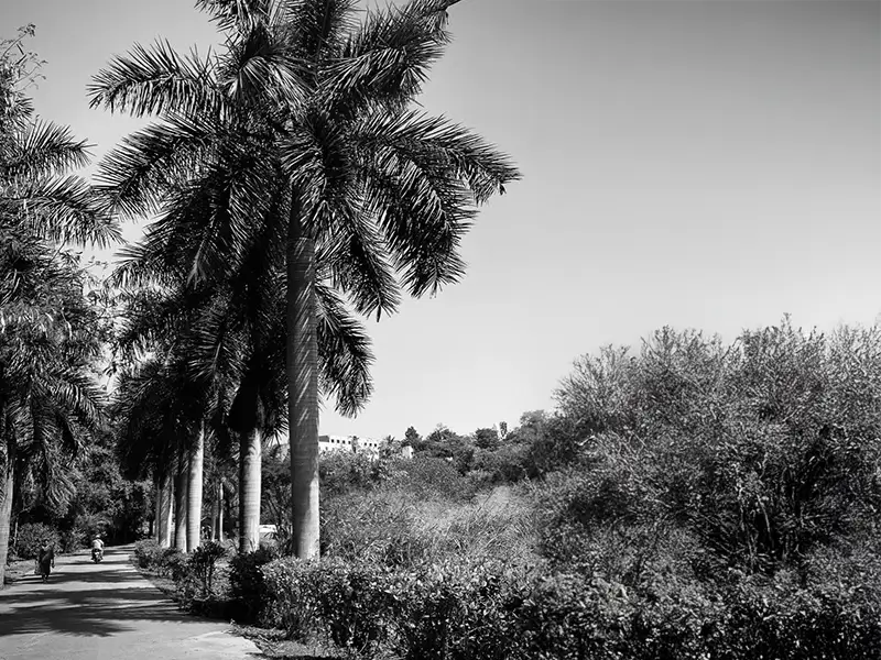 Happiness Club Organises Educational Visit to the Art of Living Centre  - 9