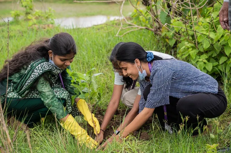 NSS Cell Marks World Environment Day with Plantation and Cleanliness Drive - 4