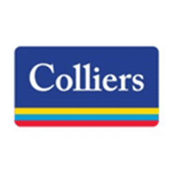 COLLIERS INTERNATIONAL (INDIA) PROPERTY SERVICES PRIVATE LIMITE